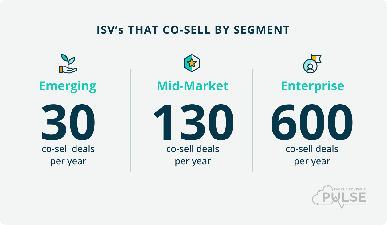 ISVs that co-sell by segment