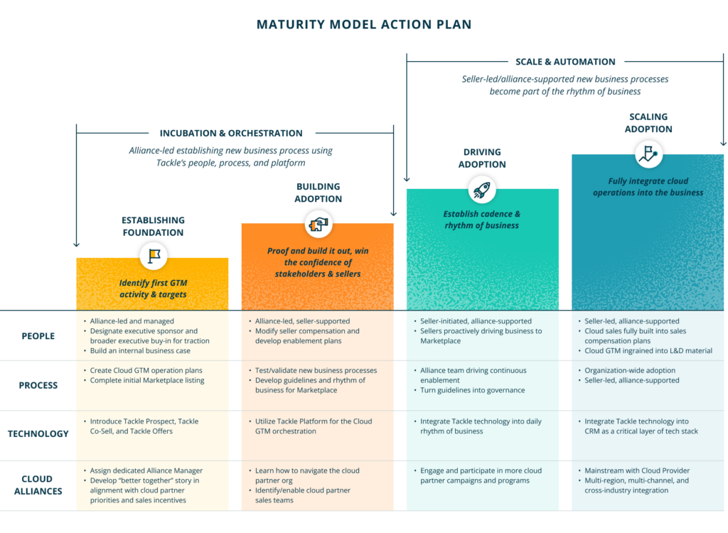Maturity model action plan